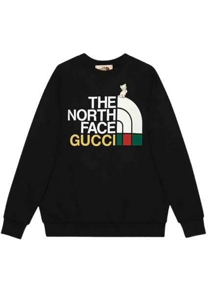 The North Face Hoodie