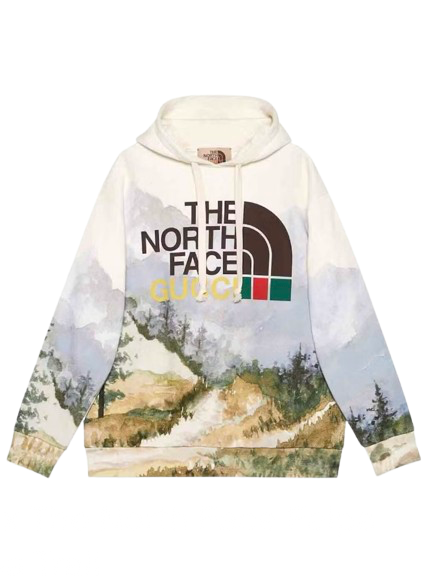 The North Face Hoodie