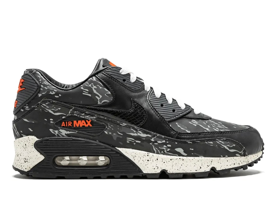 Air Max 90 Atmos
