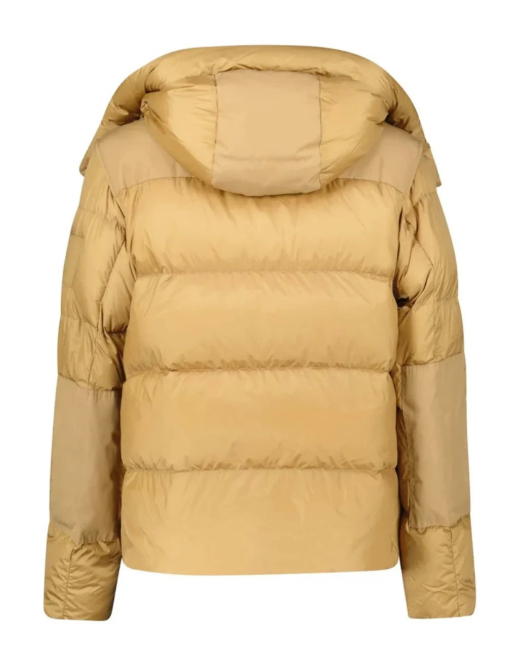 Burberry Puffer