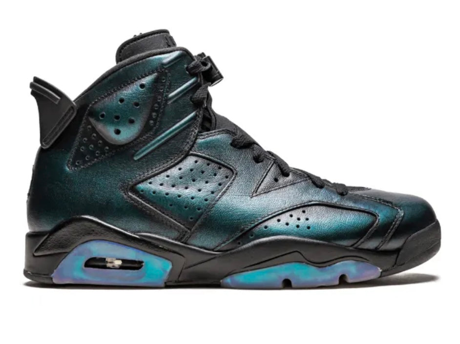 Jordan 6 Retro “Chameleon”